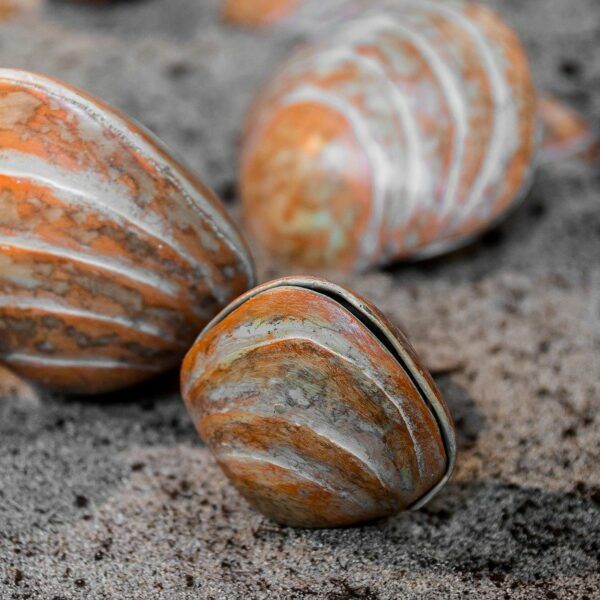 Lava Shell Massage